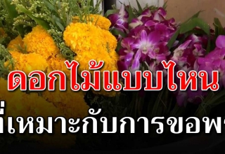 แนะนำการไหว้ ขอพรที่เหมาะสม ใช้ดอกอะไรไหว้