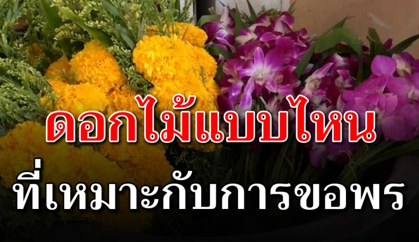 แนะนำการไหว้ ขอพรที่เหมาะสม ใช้ดอกอะไรไหว้