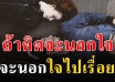 ฝากไว้ให้คิด “หากนอกใจ 1 ครั้ง” แน่นอนว่า..ย่อมมีครั้งต่อไป