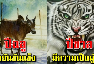 ปีนักษัตรของคุณ บอกธาตุแท้และนิสัยที่ซ่อนอยู่แม่นมาก