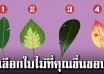 บอกนิสัยภายในจิตใจของคุณ จากการเลือกใบไม้ที่คุณชอบ