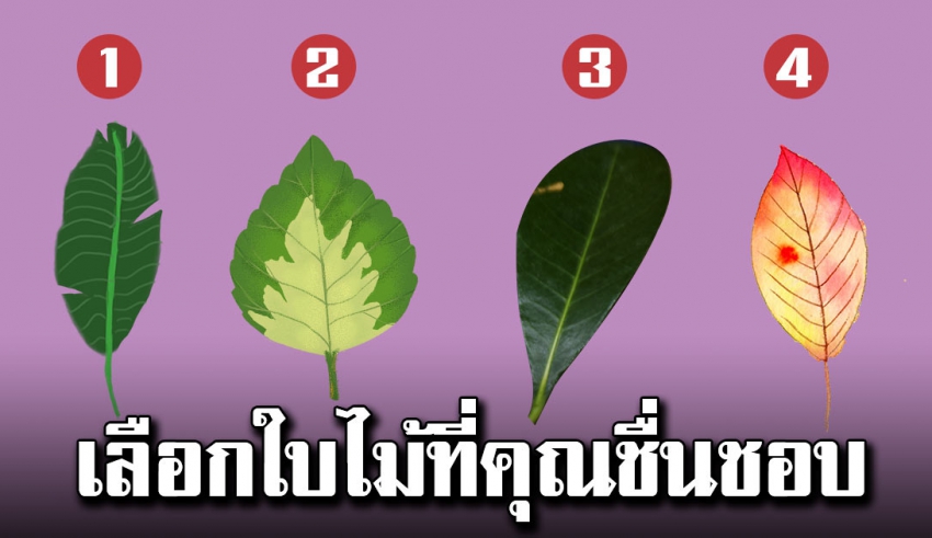 บอกนิสัยภายในจิตใจของคุณ จากการเลือกใบไม้ที่คุณชอบ