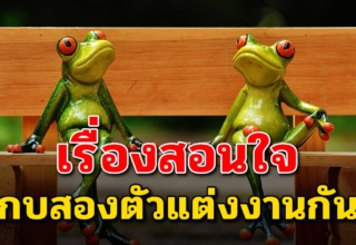 “กบสองตัวแต่งงานกัน” (สละเวลาอ่านสักนิด..ชีวิตก้าวเร็วขึ้น)