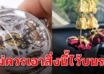 ของ 5 อย่าง ไม่ควรมีไว้ในรถ ขัดโชคเงินทอง