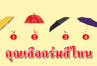 หากฝนตก คุณจะเลือกร่มสีไหน บอกถึงนิสัยแท้ๆที่ซ่อนไว้ ที่หลายคนไม่รู้