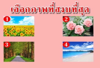 เลือกภาพที่คุณคิดว่าสงบที่สุด 1 ภาพ บอกถึงนิสัยของคุณ