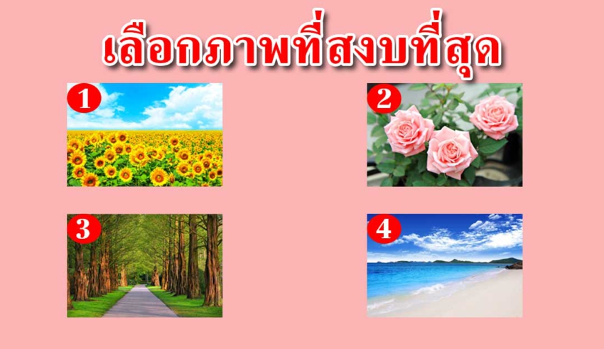 เลือกภาพที่คุณคิดว่าสงบที่สุด 1 ภาพ บอกถึงนิสัยของคุณ