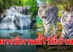 9 ภาพแขวนผนัง ที่ควรมีติดในบ้าน ช่วยเรียกเงินทอง