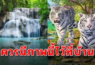 9 ภาพแขวนผนัง ที่ควรมีติดในบ้าน ช่วยเรียกเงินทอง