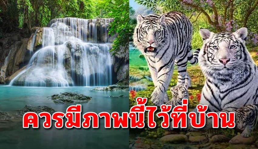 9 ภาพแขวนผนัง ที่ควรมีติดในบ้าน ช่วยเรียกเงินทอง