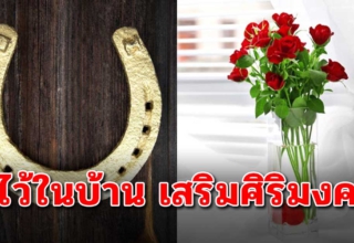 9 สิ่งของ ถ้ามีไว้ที่บ้าน จะช่วยเสริมโชคลาภเงินทอง