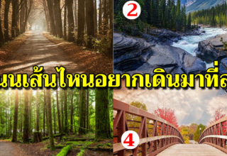 เลือกเส้นทางที่คุณอย ากเดินมากที่สุด สิ่งที่อยู่ในใจของคุณเป็นยังไง