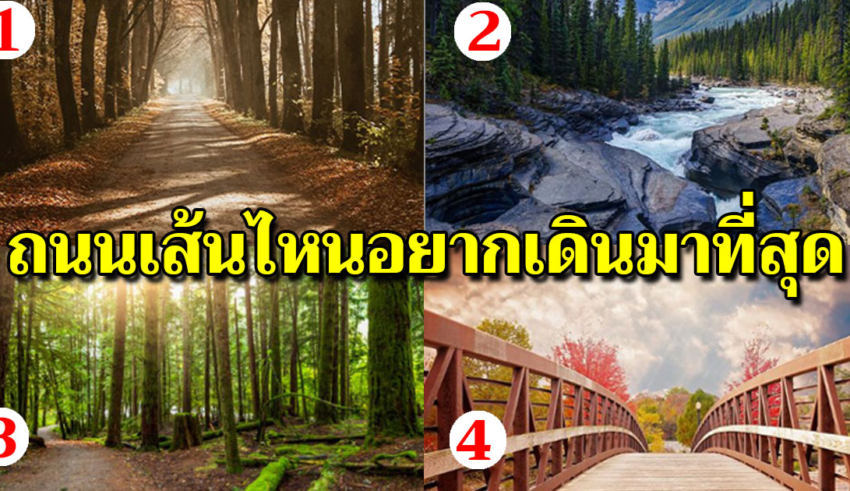 เลือกเส้นทางที่คุณอย ากเดินมากที่สุด สิ่งที่อยู่ในใจของคุณเป็นยังไง