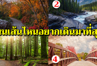 เลือกเส้นทางชีวิตที่ชอบมา 1 ทาง จะบอกถึงสิ่งที่อยู่ลึกๆในใจของคุณ