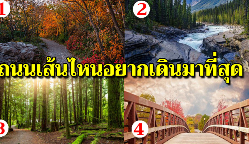 เลือกเส้นทางชีวิตที่ชอบมา 1 ทาง จะบอกถึงสิ่งที่อยู่ลึกๆในใจของคุณ