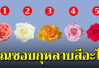 คุณชอบกุหลาบสีอะไร สามารถบอกนิสัยใจคอได้แม่นมาก