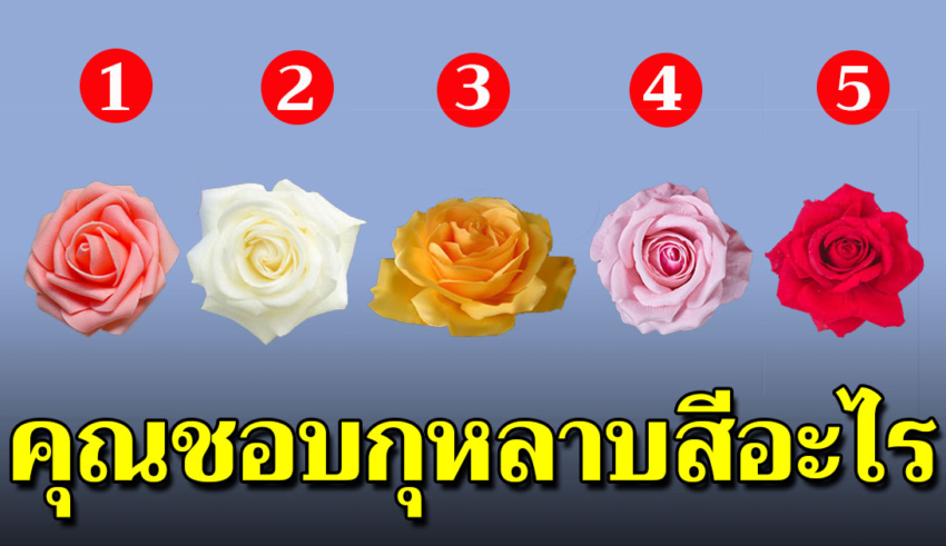 คุณชอบกุหลาบสีอะไร สามารถบอกนิสัยใจคอได้แม่นมาก