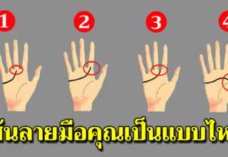 เส้นลายมือบอกว่าจริงๆแล้วคุณเป็นคนยังไง