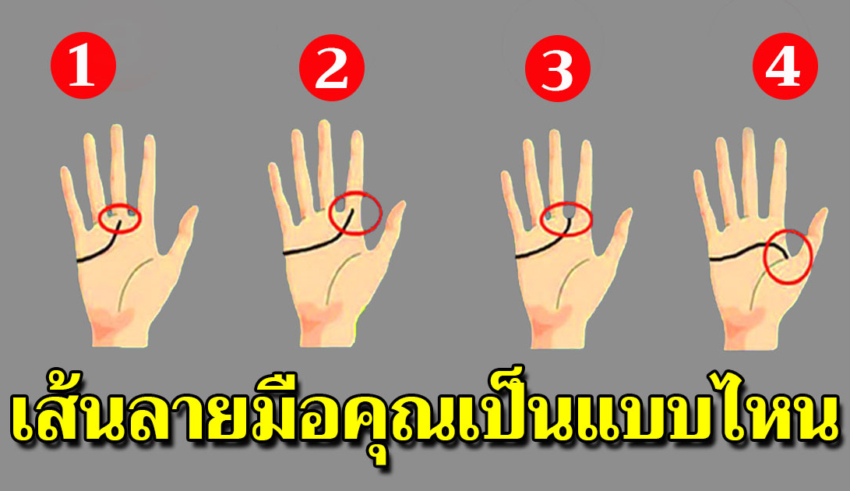 เส้นลายมือบอกว่าจริงๆแล้วคุณเป็นคนยังไง