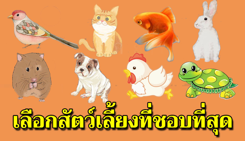 สัตว์ที่คุณเลือกนี่แหละ ตัวตนที่แท้ของคุณและสิ่งที่คนอื่นเห็น