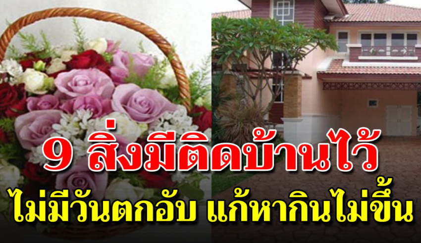 ของ 9 สิ่งนี้ควรมีไว้ในบ้าน จะช่วยเสริมความโชคดี ไม่มีวันตกอับ