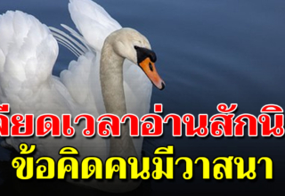 หงส์ไม่กินข้าวกับหมา จงโต้ตอบ ด้วยปัญญา เมื่อโดนดูถูก