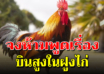 บินสูงในฝูงไก่ อ่านกี่ครั้งก็ชอบ (เตือนสติได้กระจ่าง)