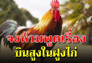 บินสูงในฝูงไก่ อ่านกี่ครั้งก็ชอบ (เตือนสติได้กระจ่าง)