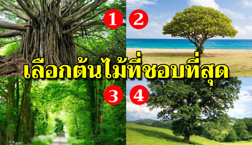 4 ต้นไม้ไหนที่ชอบที่สุด บอกได้ว่าใครเป็นที่พึ่งในชีวิตคุณ