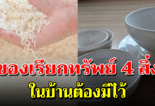 ของ 4 สิ่งมีไว้ในบ้าน ช่วยเรียกทรัพย์เงินทอง