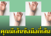 4 เส้นที่ข้อมือ เส้นที่สื่อถึงในอนาคต จะมีชีวิตเป็นยังไง