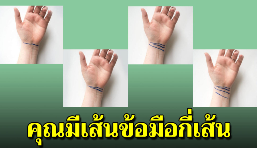 4 เส้นที่ข้อมือ เส้นที่สื่อถึงในอนาคต จะมีชีวิตเป็นยังไง