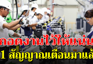 11 สัญญาณ ที่ทำให้เรารู้ว่า ควรกอดงานประจำไว้ให้ดี