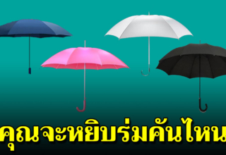 ฝนตกแล้ว คุณจะเลือกร่มคันไหน บอกได้ถึงลักษณะที่ซ่อนไว้ของคุณได้