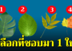 เลือกใบไม้ที่ชอบ 1 ใบ บ่งบอกความคิดลึกๆ ในใจได้