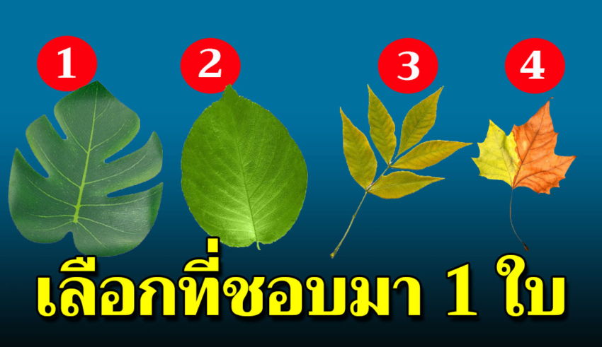 เลือกใบไม้ที่ชอบ 1 ใบ บ่งบอกความคิดลึกๆ ในใจได้