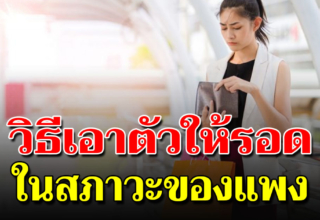 9 แนวทาง ปรับตัวในยุคของแพง