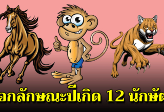 12 ปีนักษัตร ที่สามารถบ่งบอกความเป็นตัวของคุณได้