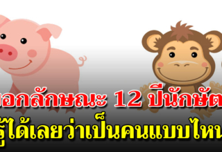 เจาะลึก 12 นักษัตร บางเรื่องคุณก็อาจยังไม่เคยรู้