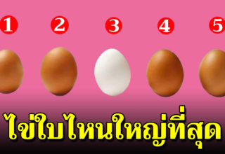 เลือกไข่ 1 ใบที่คิดว่าไข่ใบไหนใหญ่สุด บ่งบอกได้ถึงบุคลิกแอบแฝงของคุณ