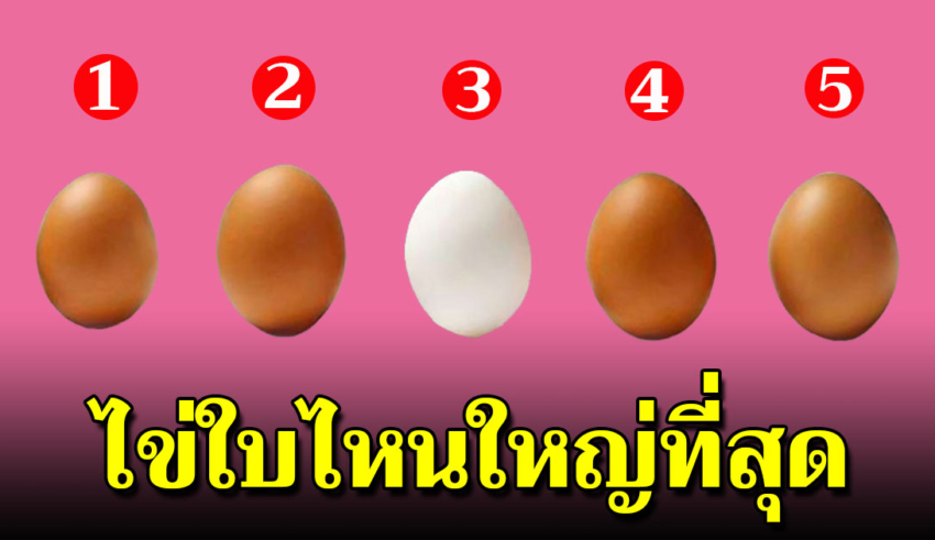 เลือกไข่ 1 ใบที่คิดว่าไข่ใบไหนใหญ่สุด บ่งบอกได้ถึงบุคลิกแอบแฝงของคุณ