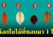 เลือกใบไม้ที่คุณชอบที่สุดมา 1 ใบ บอกได้ถึงเบื้องลึกในจิตใจคุณ