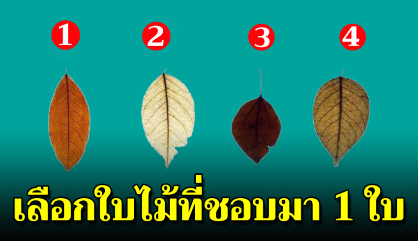 เลือกใบไม้ที่คุณชอบที่สุดมา 1 ใบ บอกได้ถึงเบื้องลึกในจิตใจคุณ