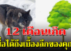 สัญลักษณ์ประจำเดือนเกิดทั้ง 12 บอกลักษณะลึกๆของคุณได้