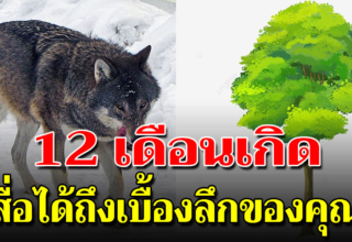 สัญลักษณ์ประจำเดือนเกิดทั้ง 12 บอกลักษณะลึกๆของคุณได้