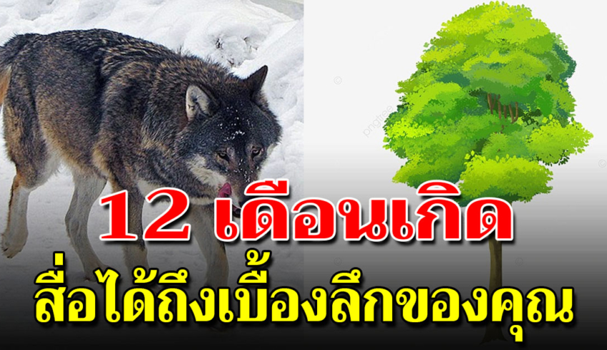 สัญลักษณ์ประจำเดือนเกิดทั้ง 12 บอกลักษณะลึกๆของคุณได้