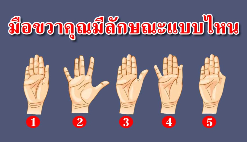 ลักษณมือขวาของคุณ บ่งบอกถึงนิสัยลึกๆได้