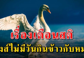 (เรื่องเตือนสติ) จงรู้ไว้หงส์ไม่มีวันกินข้าวกับหมา