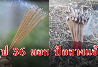 วิธีขอขมา ธูป 36 ดอก ปักไว้กลางแจ้งช่วยให้ชีวิตดีขึ้น