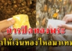 8 ตำแหน่ง การปิดทองพระได้รับผลบุญชีวิตเจริญรุ่งเรือง